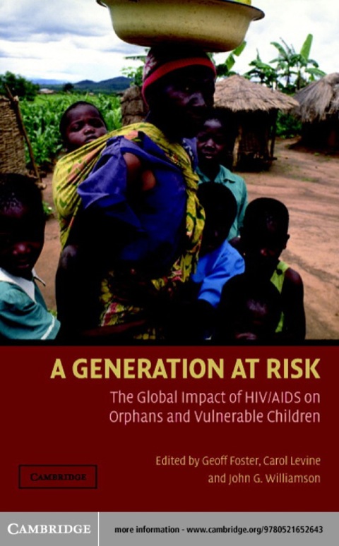Cover image for book A Generation at Risk