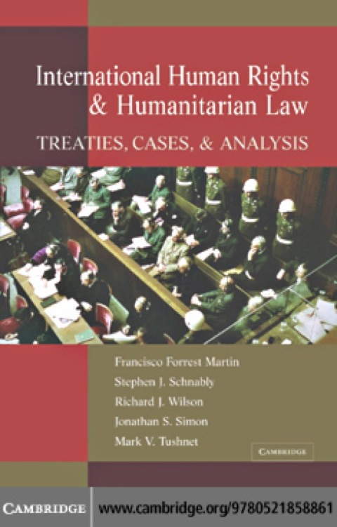 International Human Rights and Humanitarian Law 