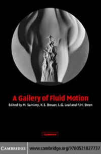 Cover image: A Gallery of Fluid Motion 1st edition 9780521827737