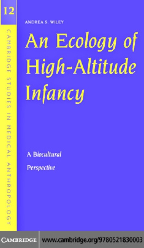 Cover image for book An Ecology of High-Altitude Infancy