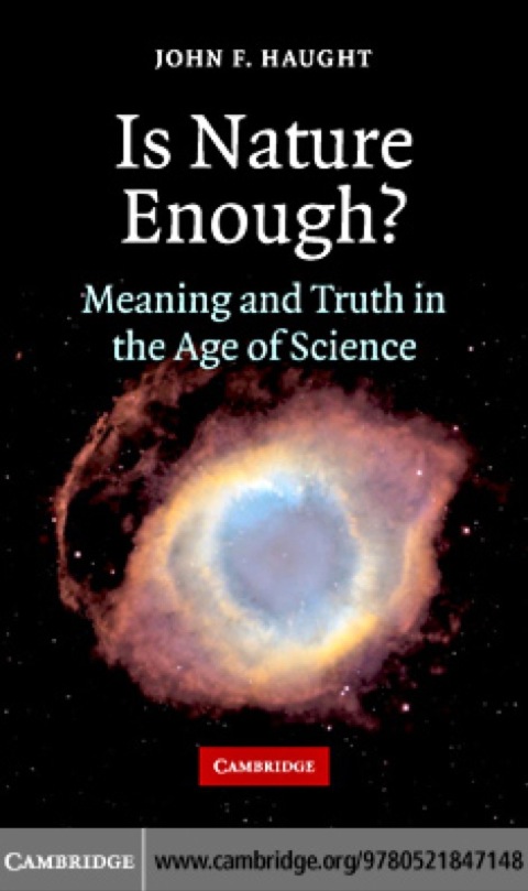 Cover image for book Is Nature Enough?