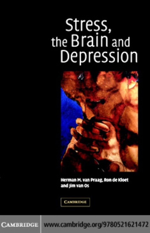 Stress, the Brain and Depression 