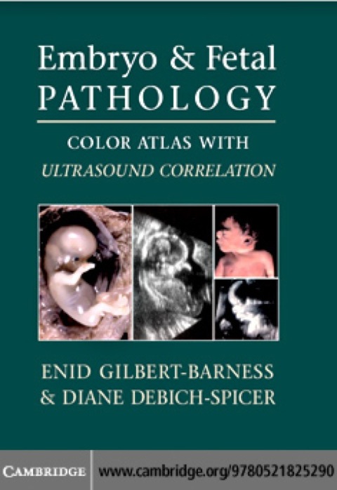 Cover image for book Embryo and Fetal Pathology