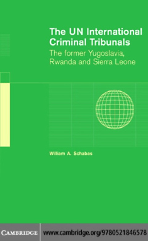 Cover image for book The UN International Criminal Tribunals
