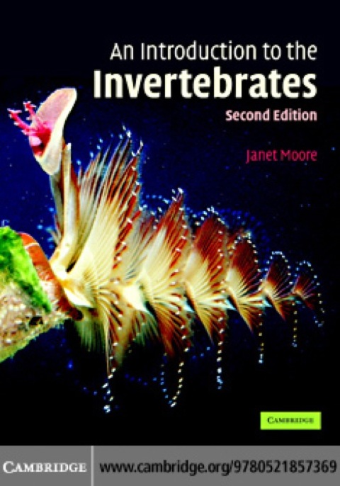 Cover image for book An Introduction to the Invertebrates