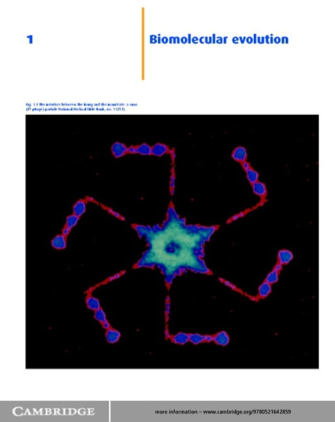 Cover image for book Human Molecular Biology