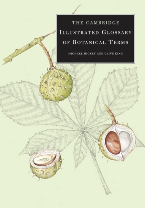 Cover image for book The Cambridge Illustrated Glossary of Botanical Terms