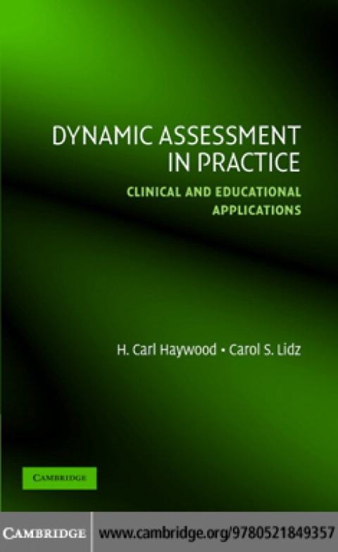 Cover image for book Dynamic Assessment in Practice