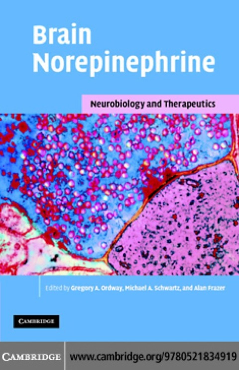 Cover image for book Brain Norepinephrine