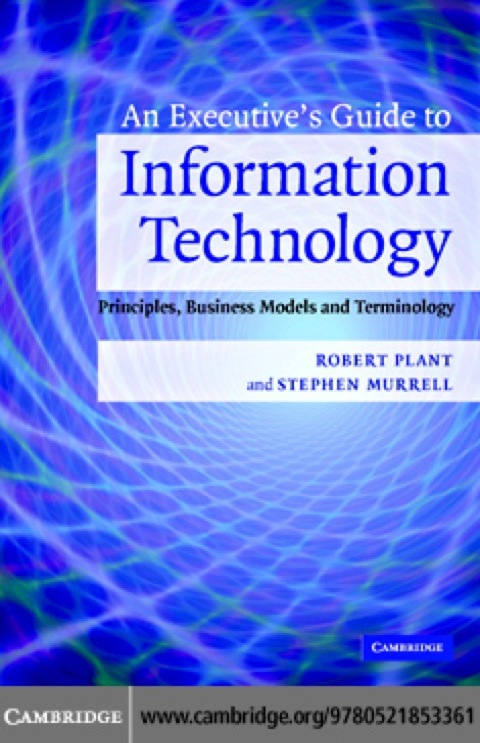 An Executive's Guide to Information Technology 