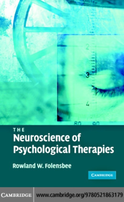Cover image for book The Neuroscience of Psychological Therapies