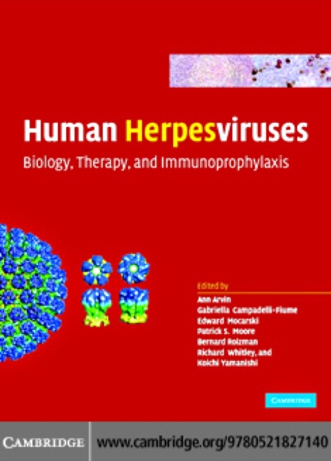 Cover image for book Human Herpesviruses