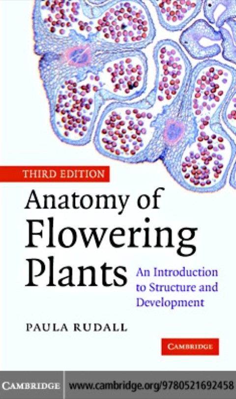 Cover image for book Anatomy of Flowering Plants