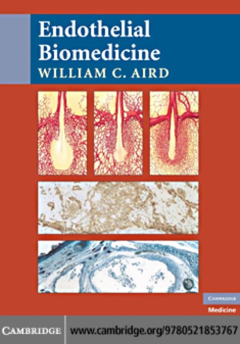 Cover image for book Endothelial Biomedicine