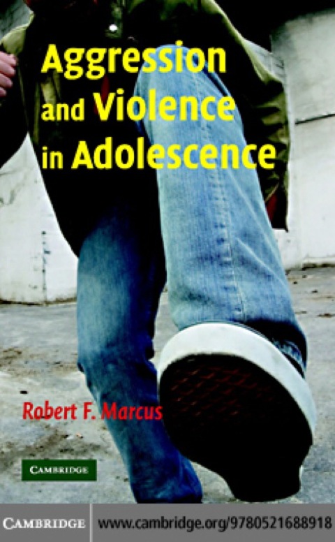 Cover image for book Aggression and Violence in Adolescence