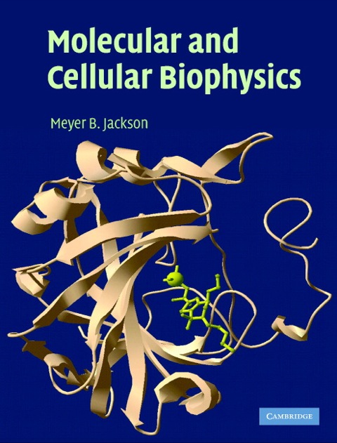 Cover image for book Molecular and Cellular Biophysics