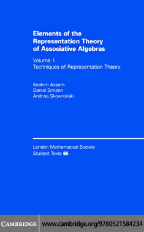 Cover image for book Elements of the Representation Theory of Associative Algebras: Volume 1