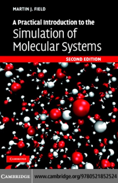 Cover image for book A Practical Introduction to the Simulation of Molecular Systems