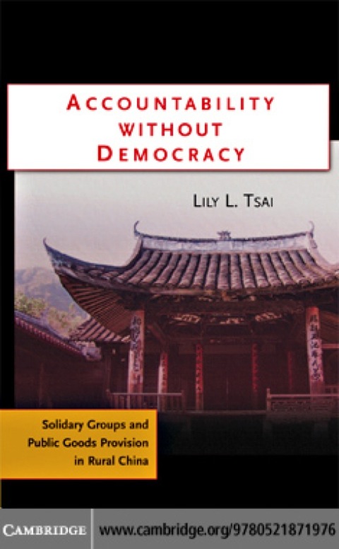 Cover image for book Accountability without Democracy