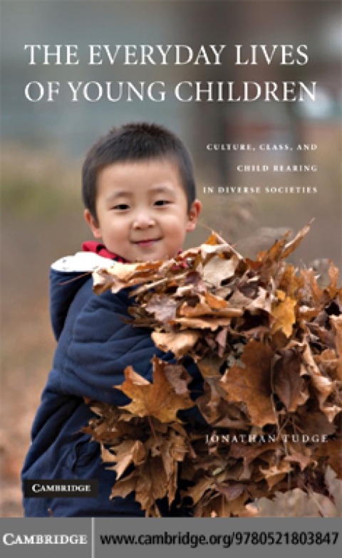 Cover image for book The Everyday Lives of Young Children