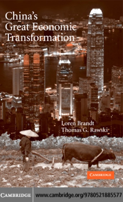 Cover image for book China's Great Economic Transformation