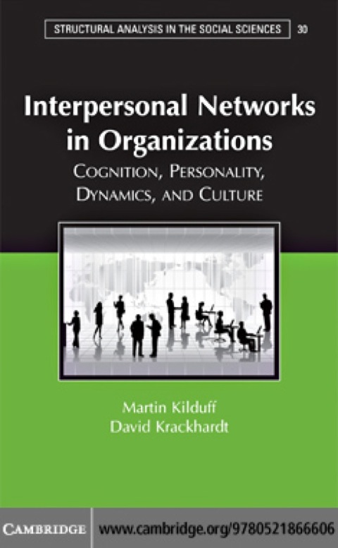 Cover image for book Interpersonal Networks in Organizations