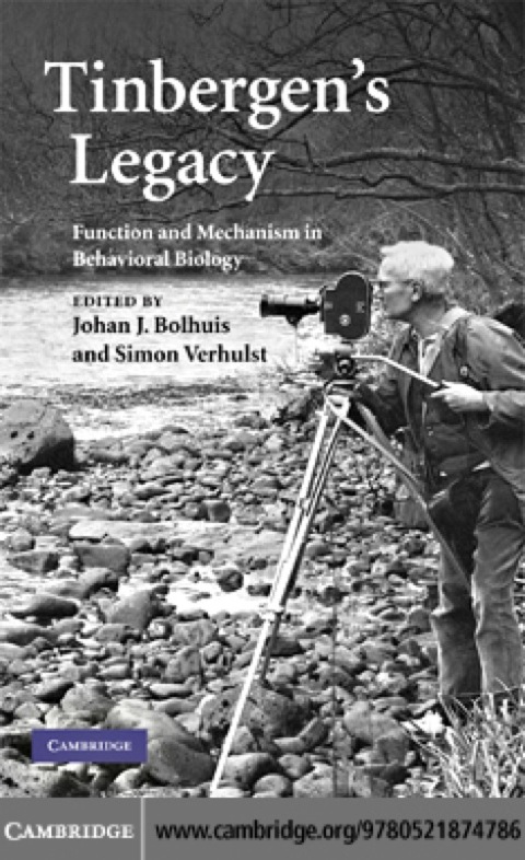 Cover image for book Tinbergen's Legacy