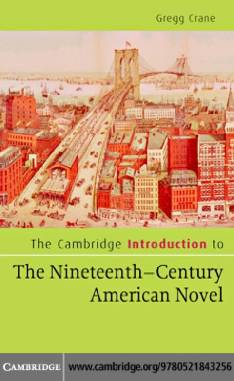 Cover image for book The Cambridge Introduction to The Nineteenth-Century American Novel
