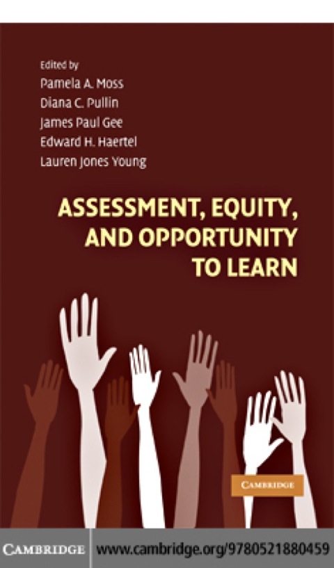 Assessment, Equity, and Opportunity to Learn 