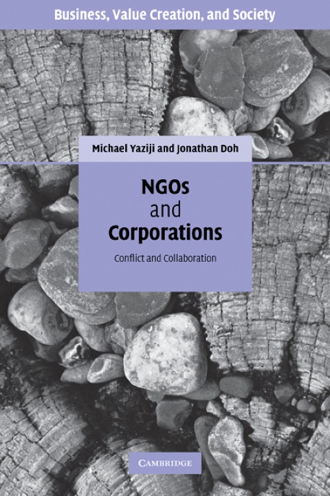 Cover image for book NGOs and Corporations