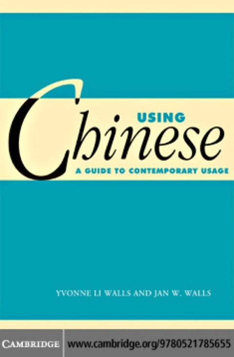 Cover image for book Using Chinese
