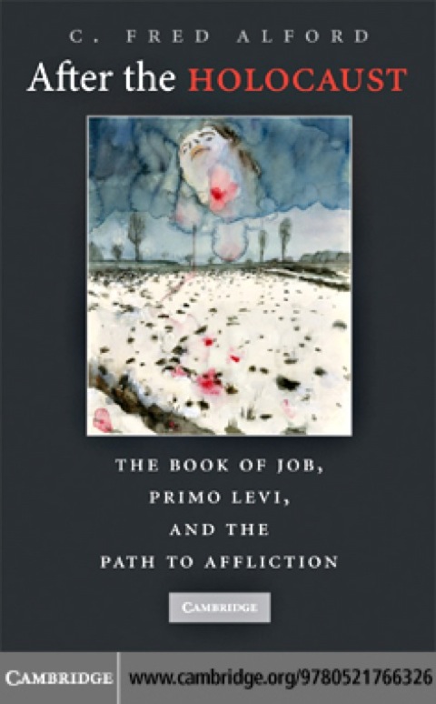 Cover image for book After the Holocaust