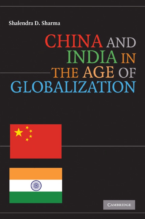 Cover image for book China and India in the Age of Globalization