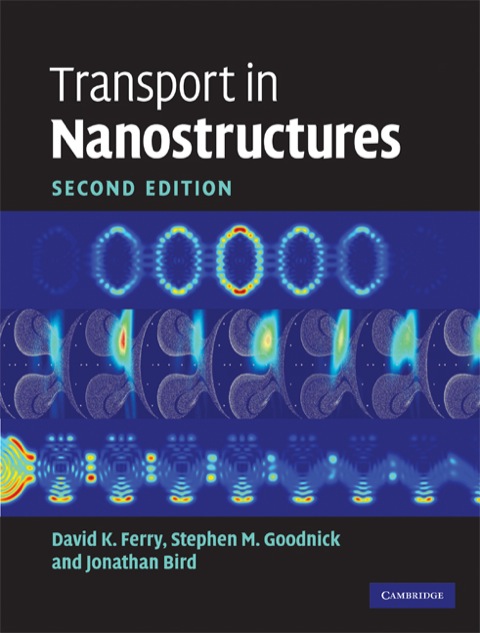 Transport in Nanostructures 