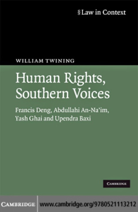 Cover image for book Human Rights, Southern Voices
