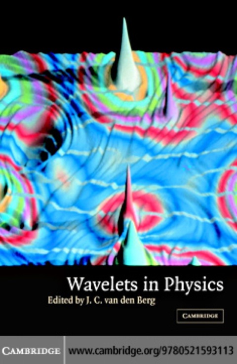 Wavelets in Physics 