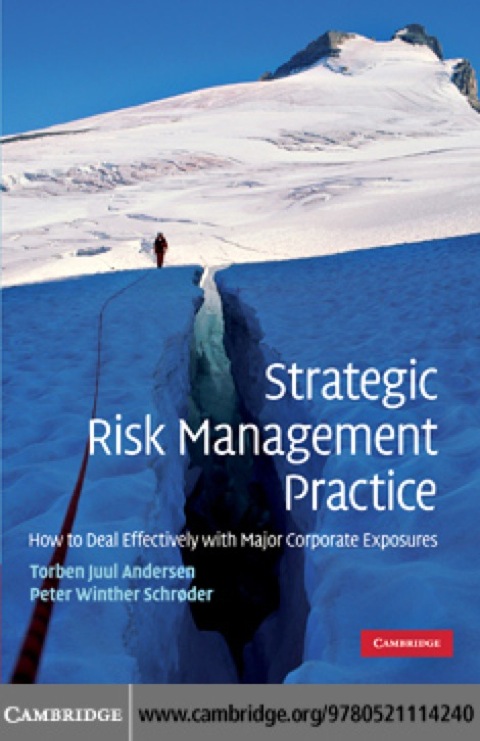 Cover image for book Strategic Risk Management Practice