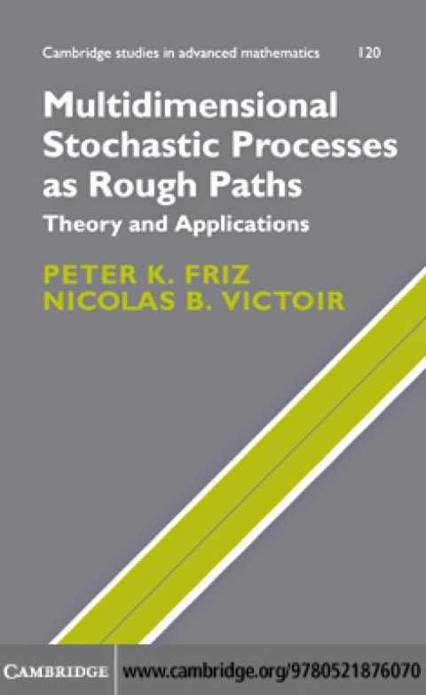 Multidimensional Stochastic Processes as Rough Paths 