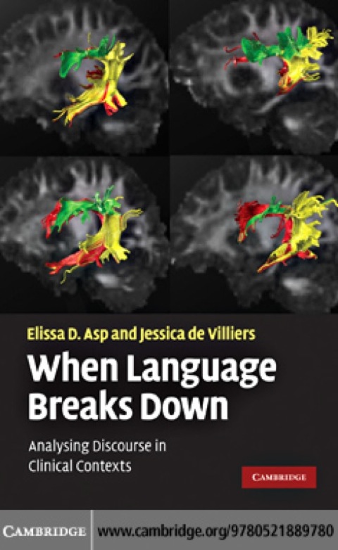 Cover image for book When Language Breaks Down