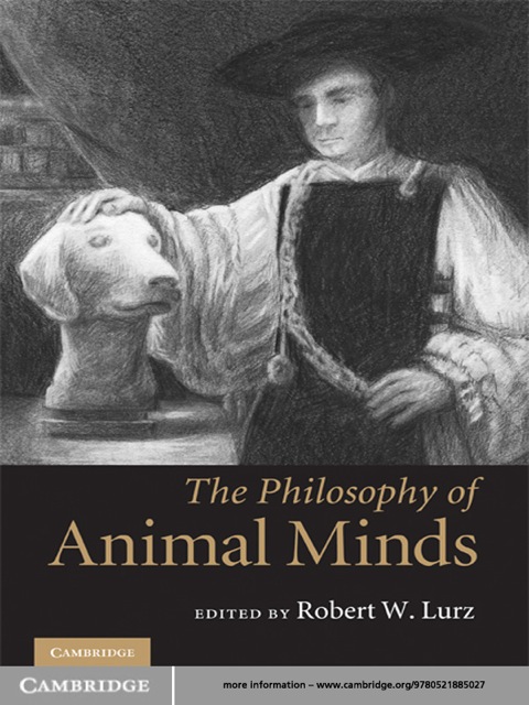 Cover image for book The Philosophy of Animal Minds