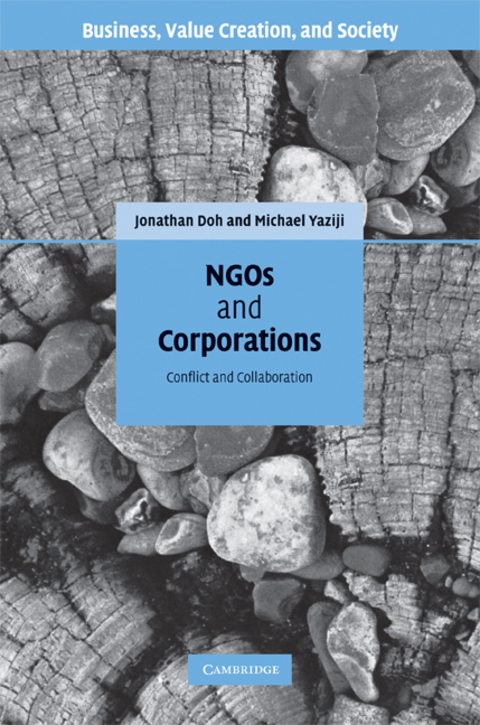 Cover image for book NGOs and Corporations