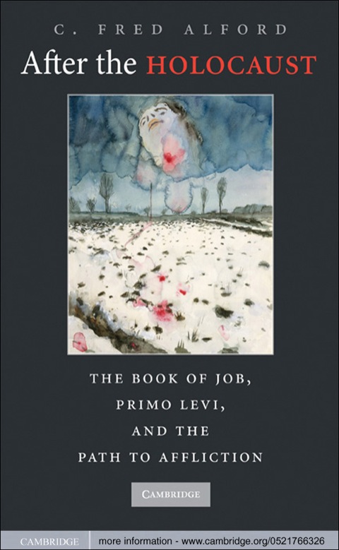Cover image for book After the Holocaust