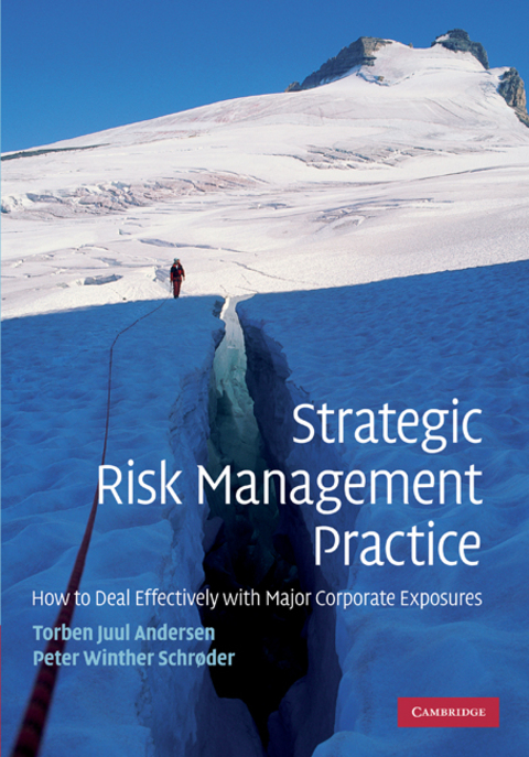 Cover image for book Strategic Risk Management Practice