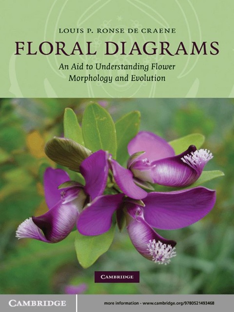 Cover image for book Floral Diagrams