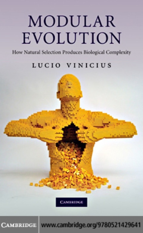 Cover image for book Modular Evolution