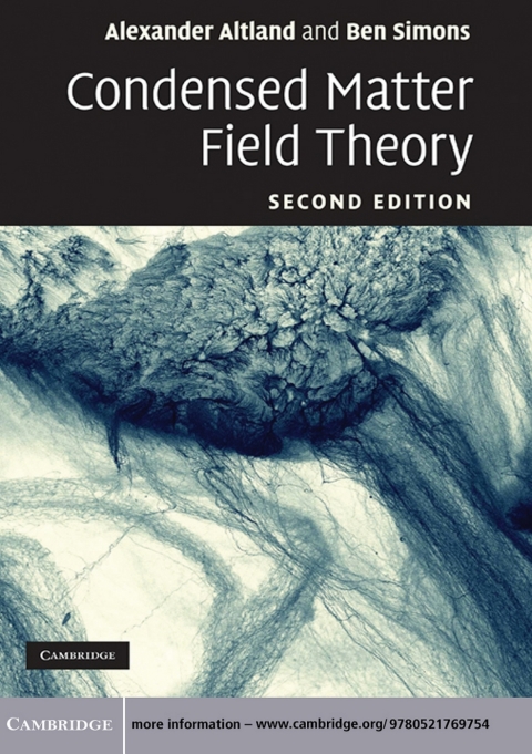 Condensed Matter Field Theory 