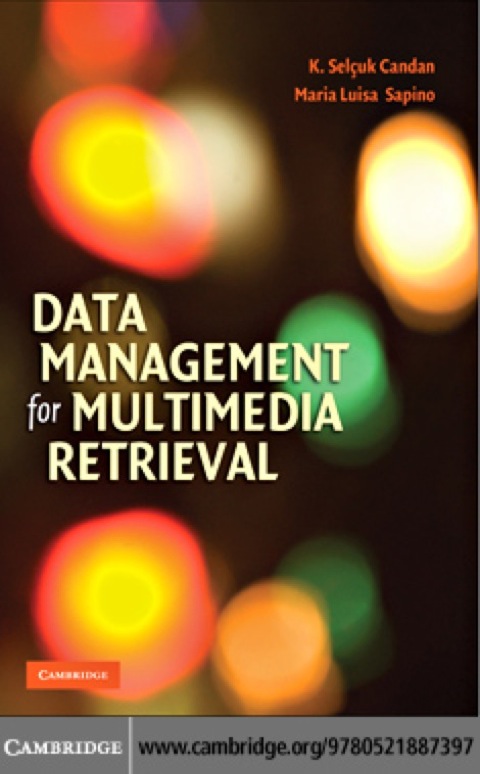 Cover image for book Data Management for Multimedia Retrieval