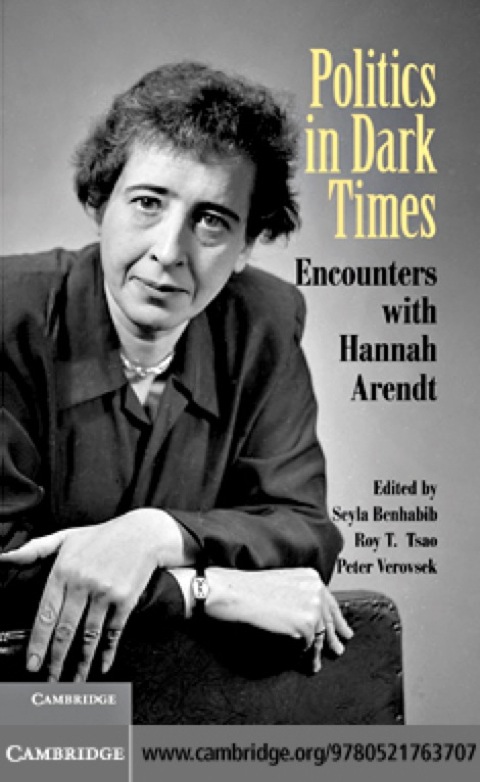 Cover image for book Politics in Dark Times