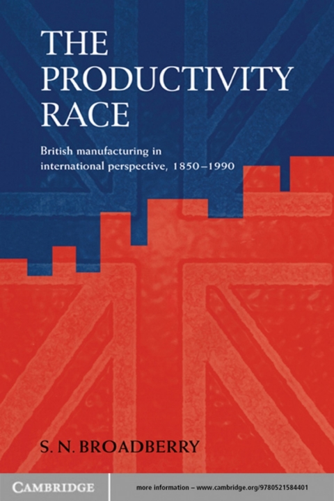 Cover image for book The Productivity Race