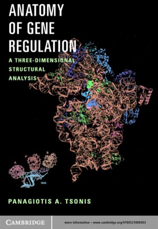 Anatomy of Gene Regulation